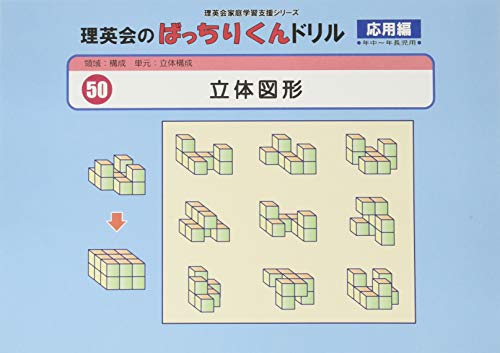 理英会 お受験 年長 正会員用 プリント ペーパー 1年分 約1500枚 理英会 お受験 年長 正会員用 プリント ペーパー 1年分 約1500枚